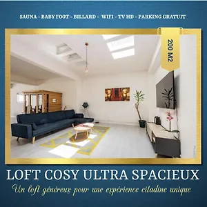 Loft Cosy - Hypercentre - Sauna - 200m2 - Wifi Graulhet